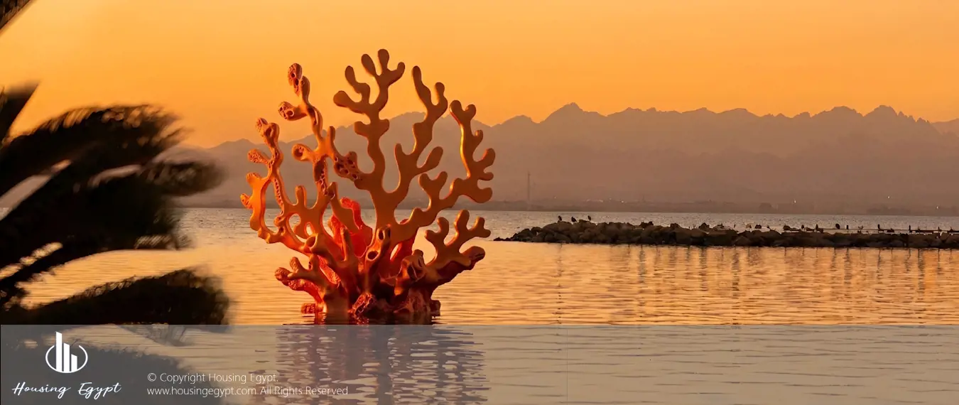 Coral Coves