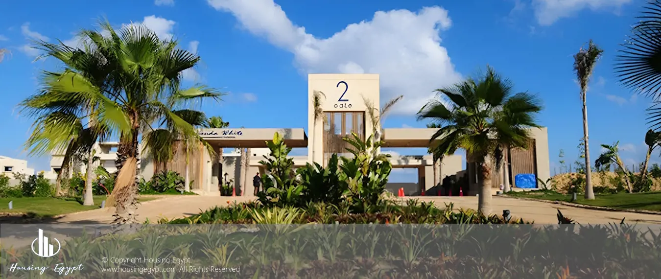 Hacienda White