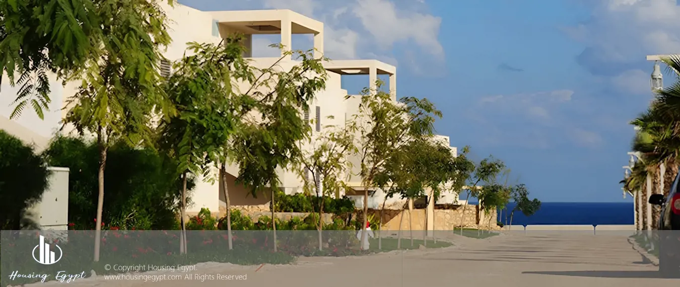 Hacienda White