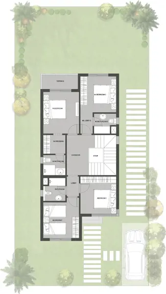 Layouts