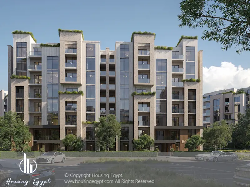 IVOIRE - Sheikh Zayed