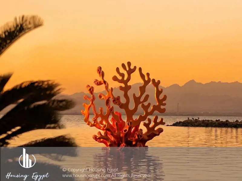 Coral Coves - Somabay - Soma Bay
