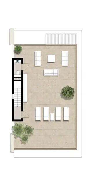 Layouts