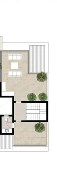 Layouts