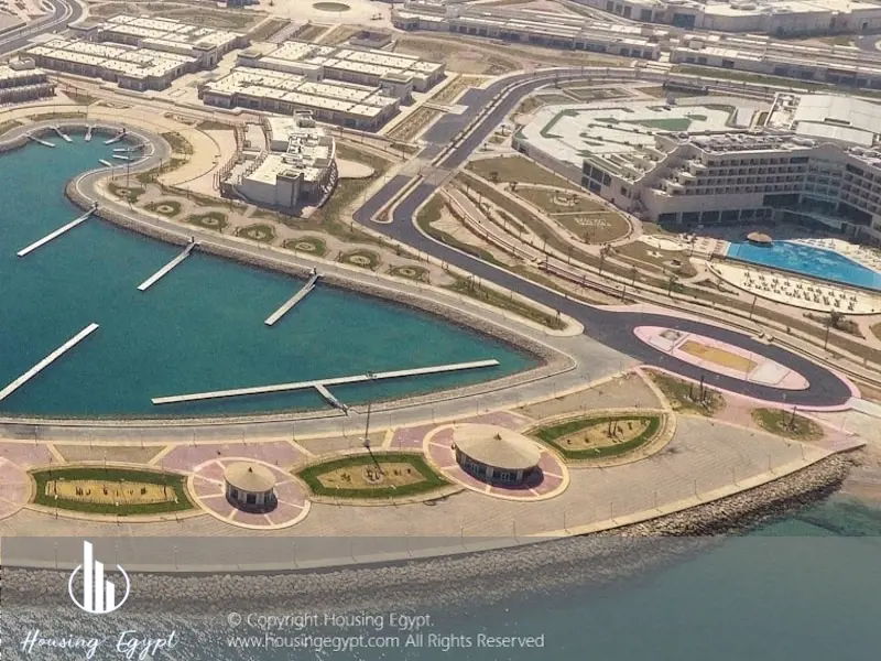 Carnelia - El Galala Mountain