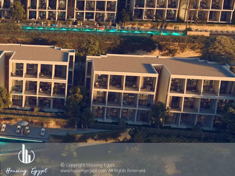 Carnelia - El Galala Mountain