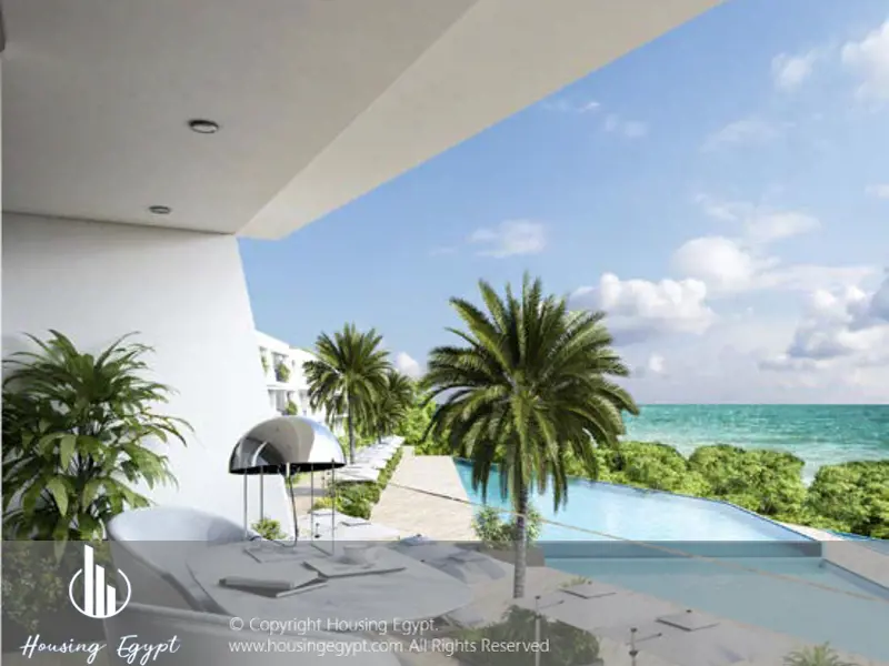 Carnelia - El Galala Mountain