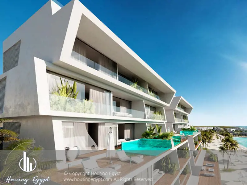 Carnelia - El Galala Mountain