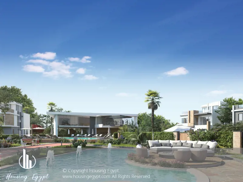 Tawny - 6th Of October