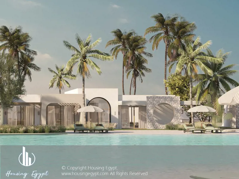 The Gray  - The Med - Ras El Hekma