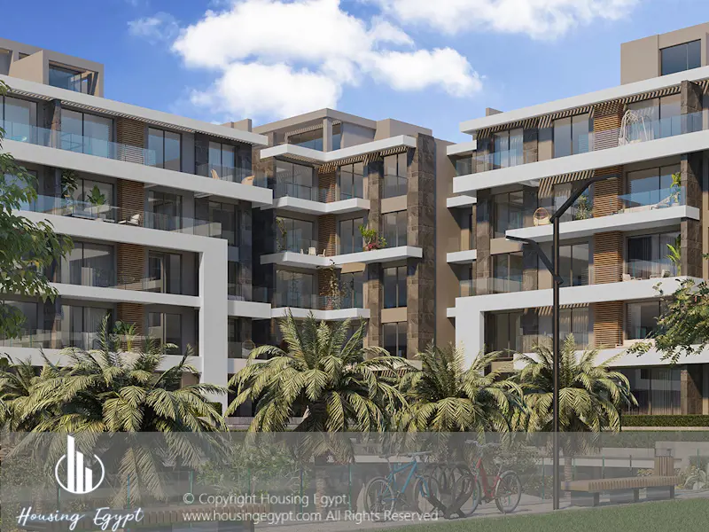 El Patio Sola - Al Shorouk