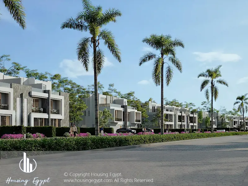 El Patio Town - 5th Settlement