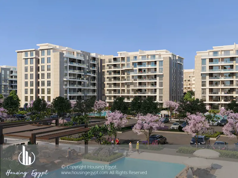 El Patio Riva - 6th Settlement